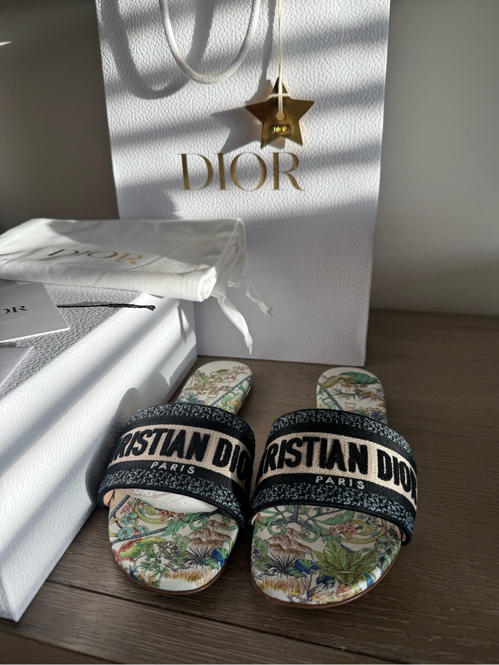 DIOR Dway Slide